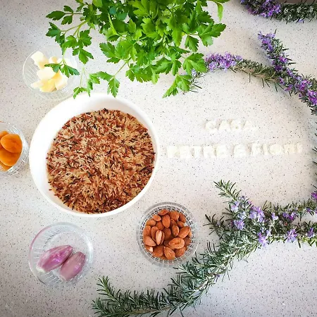Casa Petre E Fiori בית הארחה סרביון