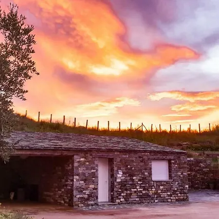 Casa Petre E Fiori